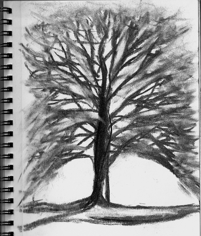 arbre